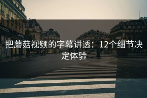 把蘑菇视频的字幕讲透：12个细节决定体验