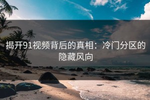 揭开91视频背后的真相：冷门分区的隐藏风向