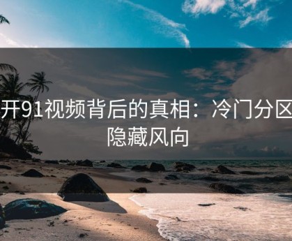 揭开91视频背后的真相：冷门分区的隐藏风向
