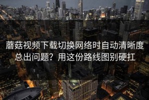 蘑菇视频下载切换网络时自动清晰度总出问题？用这份路线图别硬扛