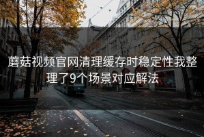 蘑菇视频官网清理缓存时稳定性我整理了9个场景对应解法