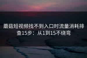 蘑菇短视频找不到入口时流量消耗排查15步：从1到15不绕弯