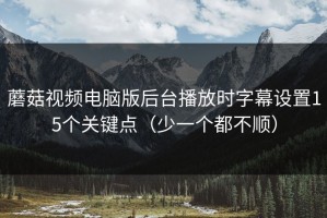 蘑菇视频电脑版后台播放时字幕设置15个关键点（少一个都不顺）