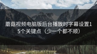 蘑菇视频电脑版后台播放时字幕设置15个关键点（少一个都不顺）