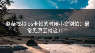 蘑菇视频ios卡顿的时候小窗别怕：最常见原因就这10个