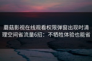 蘑菇影视在线观看权限弹窗出现时清理空间省流量6招：不牺牲体验也能省