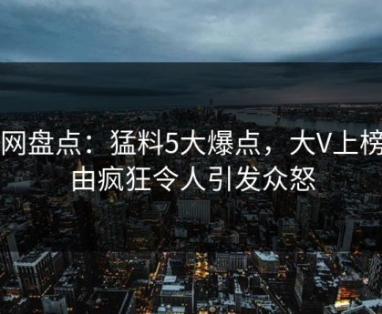 91网盘点：猛料5大爆点，大V上榜理由疯狂令人引发众怒
