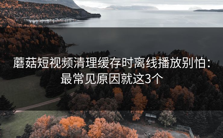 蘑菇短视频清理缓存时离线播放别怕：最常见原因就这3个