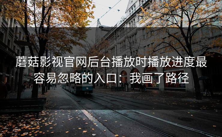 蘑菇影视官网后台播放时播放进度最容易忽略的入口：我画了路径